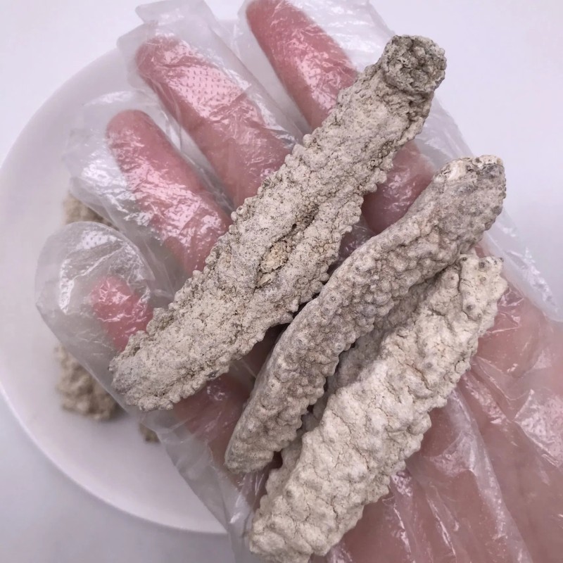 Factory Supply Seafood Dried Sea Cucumb Dry White Sea Cucumber