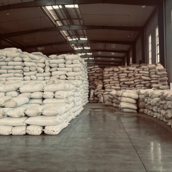 Chunmee Green Tea 9369 EL Gawhara Jawhara