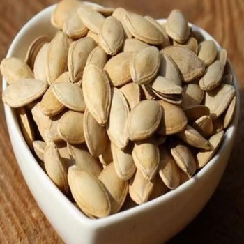 Wholesales High Quality Material Pumpkin Kernels From China