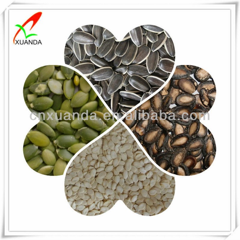 Wholesales High Quality Material Pumpkin Kernels From China