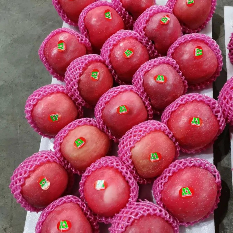 Premium Quality Paper Bagged FUJI