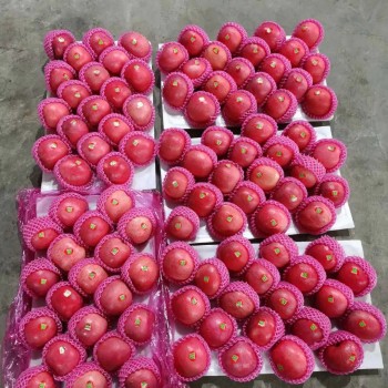 Premium Quality Paper Bagged FUJI