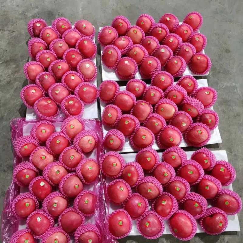 Premium Quality Paper Bagged FUJI