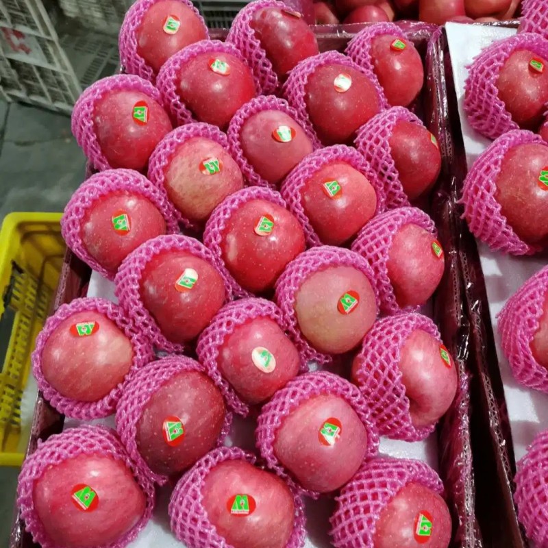 Premium Quality Paper Bagged FUJI