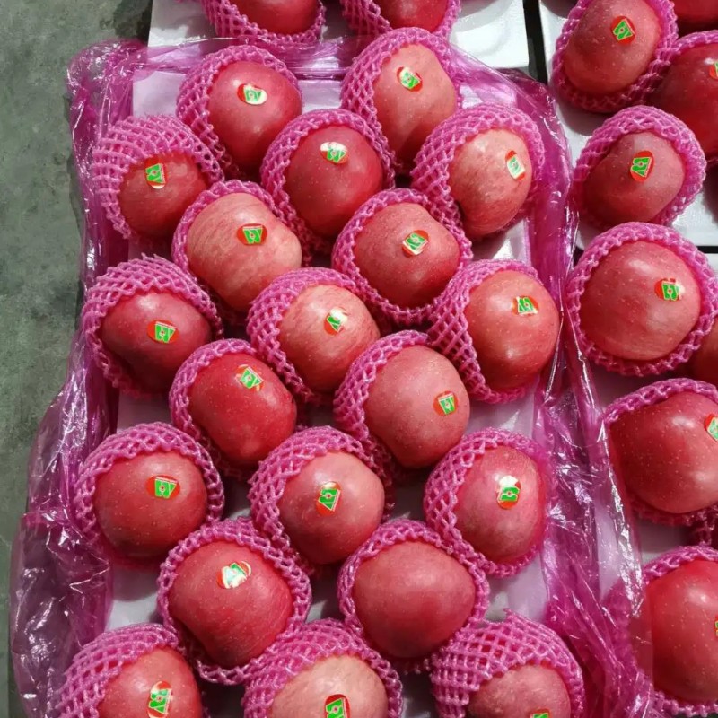 Premium Quality Paper Bagged FUJI