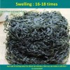 Export Grade Ad Dried Seaweed Strips Custom Cutting Size