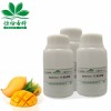 Natural Food Grade Flavor Pineapple and Pineapple Powder Wholesale Price in China