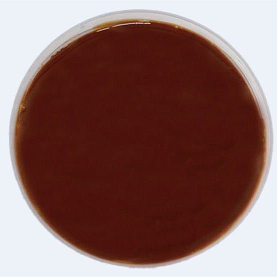 Improve Pet Food Flavor with Chicken Liver Liquid Palatability Enhancer Shandong China