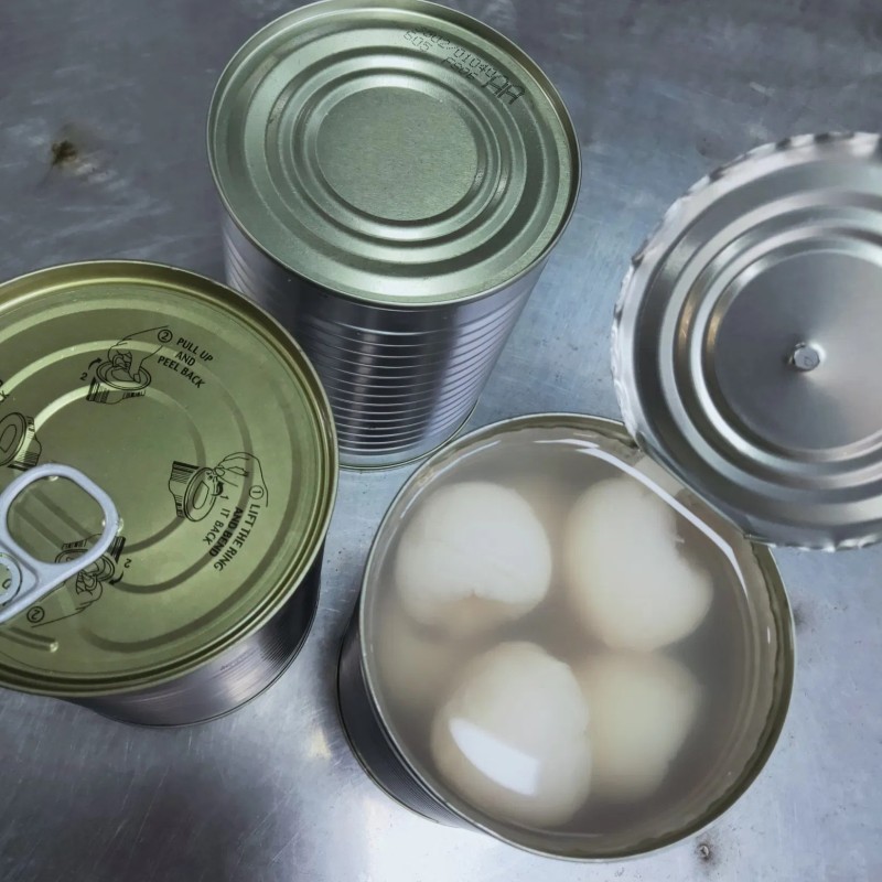 Canned Litchi Fruit Canned Fresh Lychee Food OEM Made in China