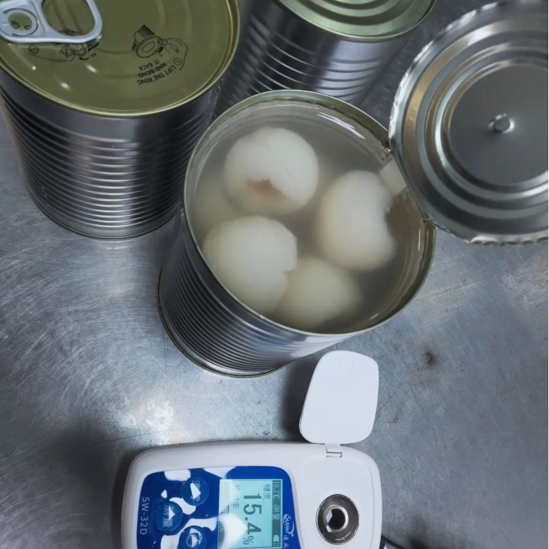Canned Litchi Fruit Canned Fresh Lychee Food OEM Made in China