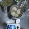 Canned Litchi Fruit Canned Fresh Lychee Food OEM Made in China