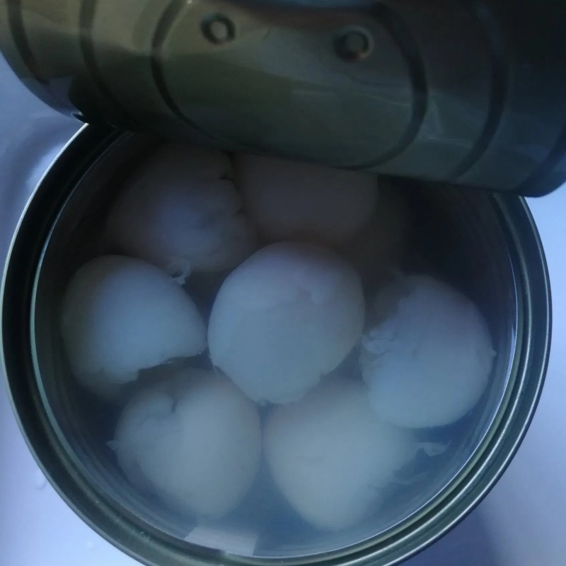 Canned Litchi Fruit Canned Fresh Lychee Food OEM Made in China