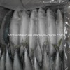Best Frozen Seafood Fish Frozen Mackerel