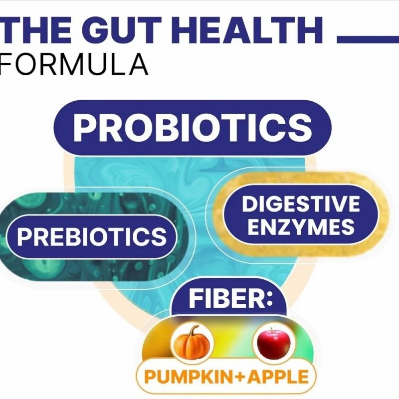 Probiotic Chews for Dogs and Cats Digestive Function Pre&Probiotic Pet Treat OEM Factory