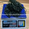 Shredded Seaweed Laminaria Japomica Cut Dried