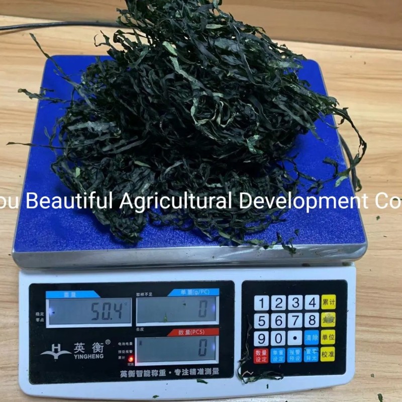 Shredded Seaweed Laminaria Japomica Cut Dried
