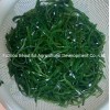 Shredded Seaweed Laminaria Japomica Cut Dried