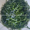 Shredded Seaweed Laminaria Japomica Cut Dried