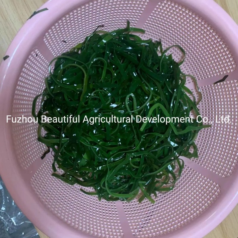 Shredded Seaweed Laminaria Japomica Cut Dried