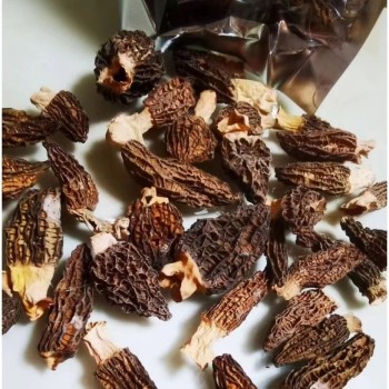 Premium Cultivated Dried Morel Mushroom, No Sulfur Added