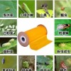 Garden Double-Sided Non-Toxic Sticky Glue Roll