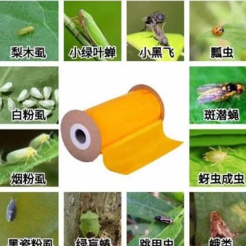 Garden Double-Sided Non-Toxic Sticky Glue Roll