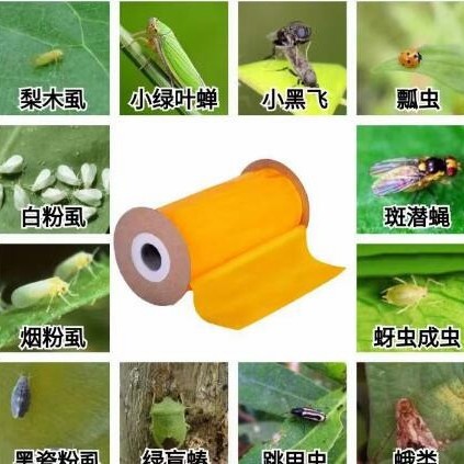 Garden Double-Sided Non-Toxic Sticky Glue Roll