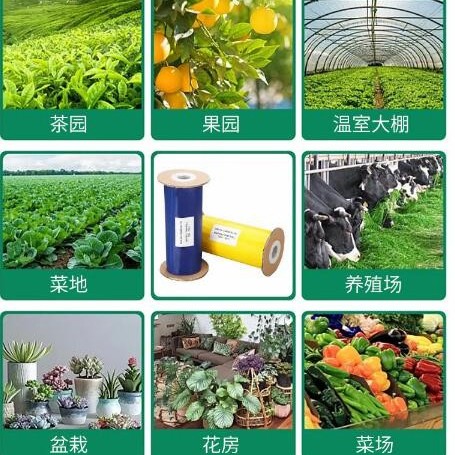 Garden Double-Sided Non-Toxic Sticky Glue Roll