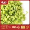 IQF Frozen Sweet Bell Pepper/Dices/Strips/Wholes Frozen Pepper