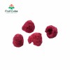 Hot Sale Fd Freeze Dried Raspberry Whole