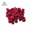 Hot Sale Fd Freeze Dried Raspberry Whole