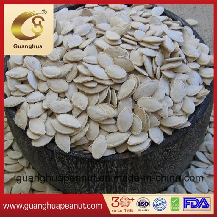 EU Top Quality Shine Skin Pumpkin Seeds