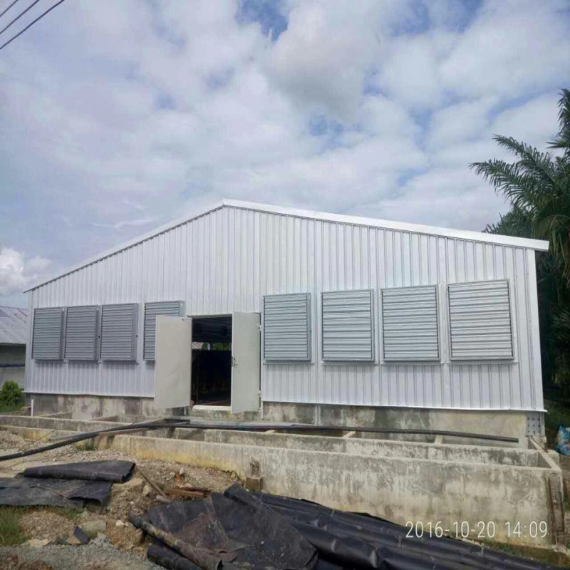 Steel Frame Poultry Farm Chicken Shed and Green House