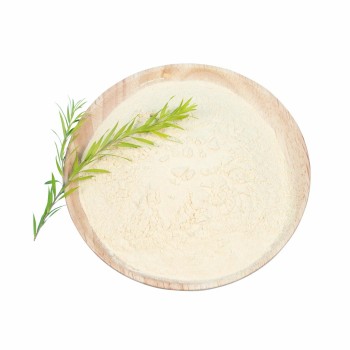 Lactobacillus Acidophilus for Human Gut Health Ibs