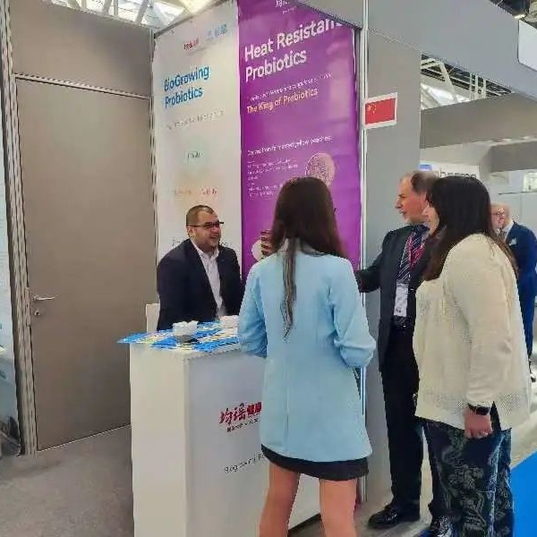 Lactobacillus Acidophilus for Human Gut Health Ibs