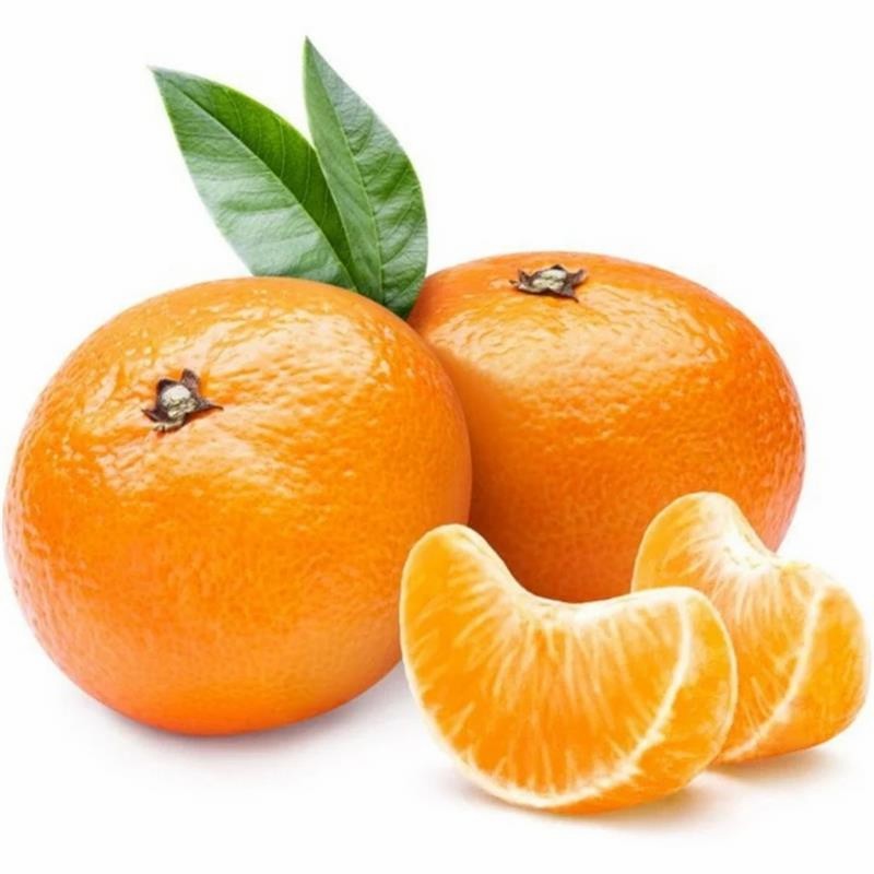 Fresh Sweet Mandarin Tangerine Oranges From China