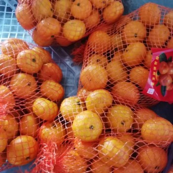 Fresh Sweet Mandarin Tangerine Oranges From China