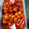 Fresh Sweet Mandarin Tangerine Oranges From China
