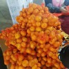 Fresh Sweet Mandarin Tangerine Oranges From China