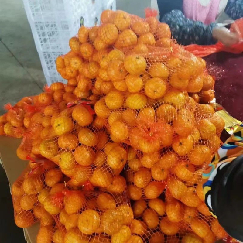 Fresh Sweet Mandarin Tangerine Oranges From China