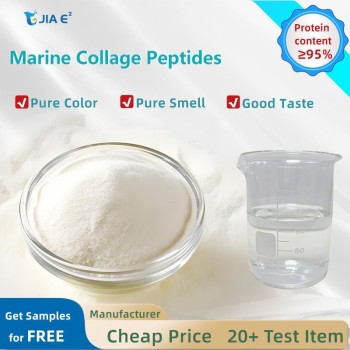 Premium Hydrolyzed Marine Collagen Powder for Skin Health