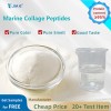 Premium Hydrolyzed Marine Collagen Powder for Skin Health