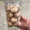 Customized Packaging Single Grain Multi Clove Black Garlic for Food Processing
