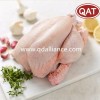 Premium Halal Duck Griller - Frozen Duck for Gourmet Cooking