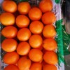 Fresh Orange China Fresh Fruit