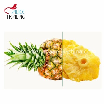 Wholesale High Quality with Low Sugar Natural Dried Pineapple Fruit