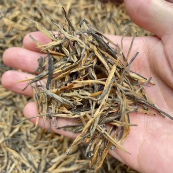 Organic Yunnan Premium Pine Needle Dian Hong Black Tea