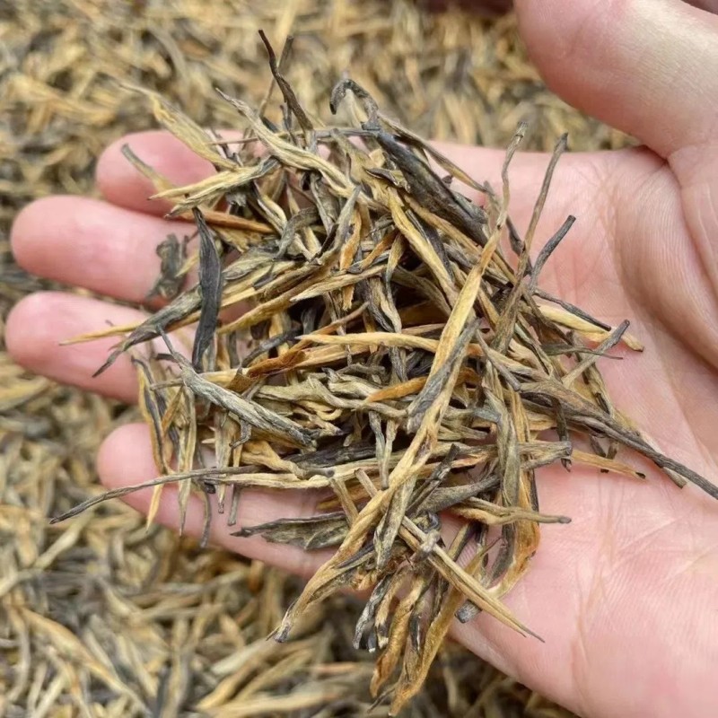 Organic Yunnan Premium Pine Needle Dian Hong Black Tea