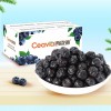 Chinese 100% Natural Dried Blueberries Fine-Cut