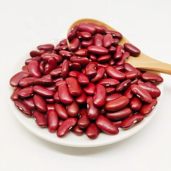 High Quality New British Dark Red Kidney Beans Long Shape Wholesale